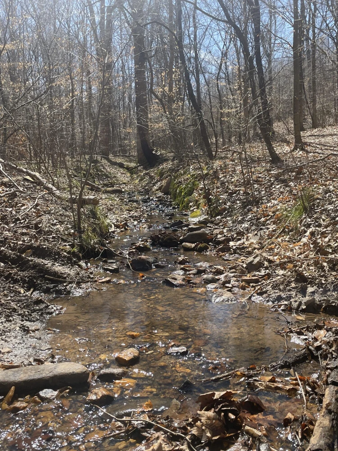 Tract C Clover Creek RD - Photo 22