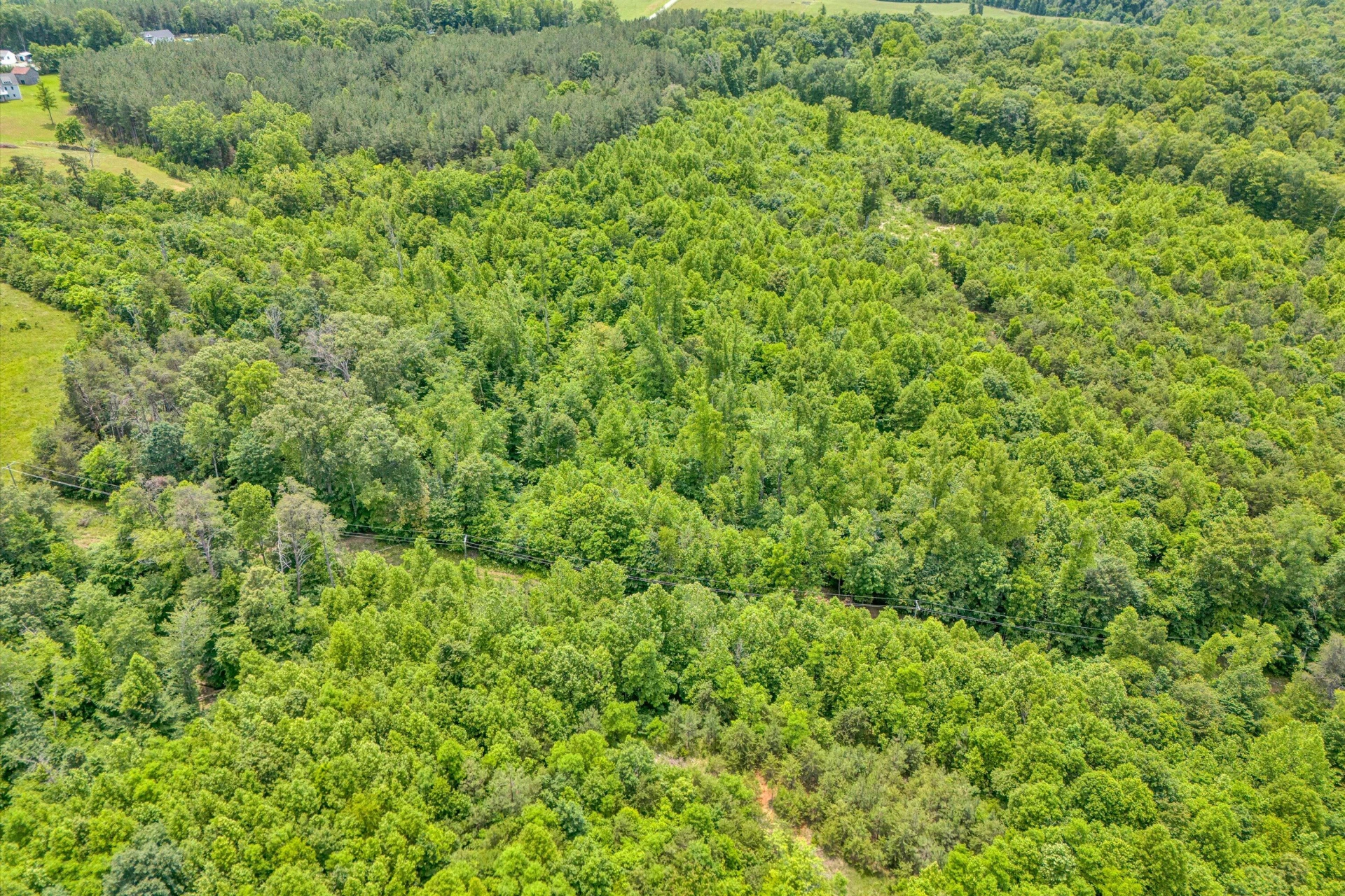 Tract C Clover Creek RD - Photo 3