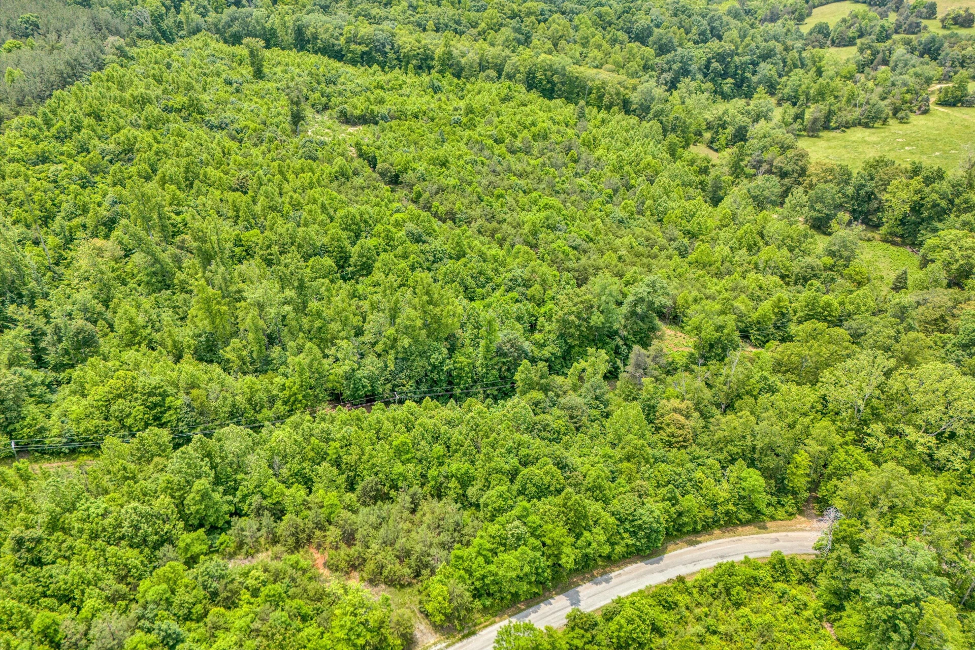 Tract C Clover Creek RD - Photo 4