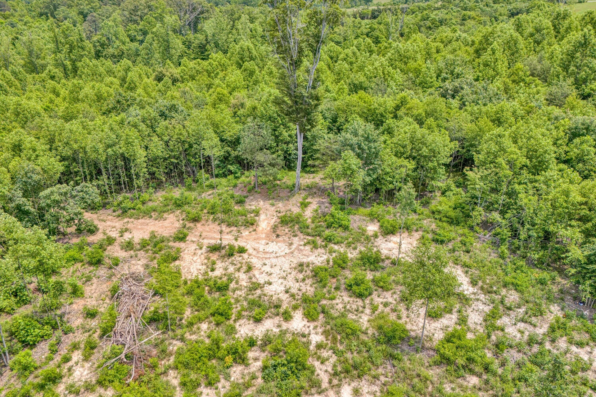 Tract C Clover Creek RD - Photo 7