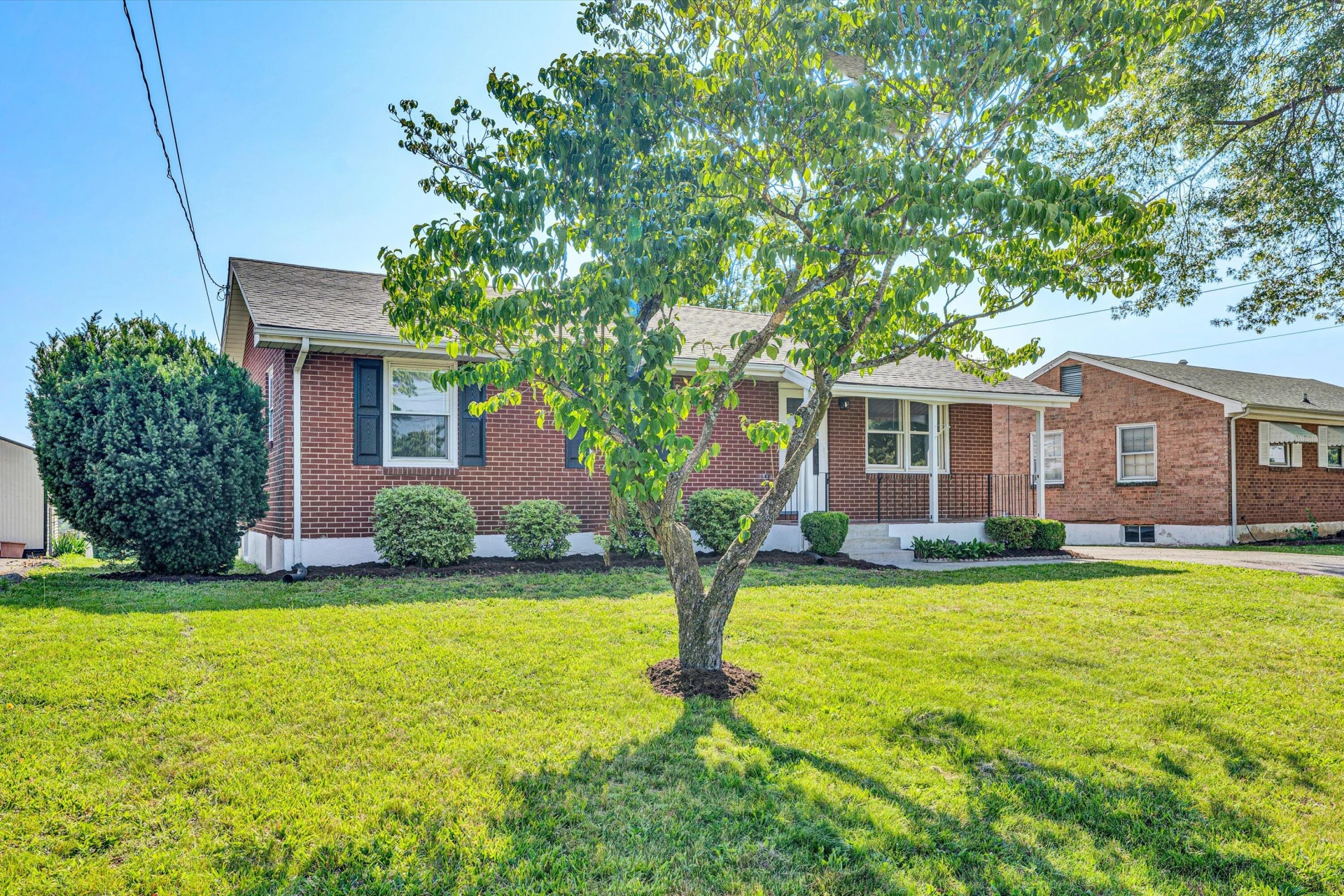 5225 Florist RD - Photo 3