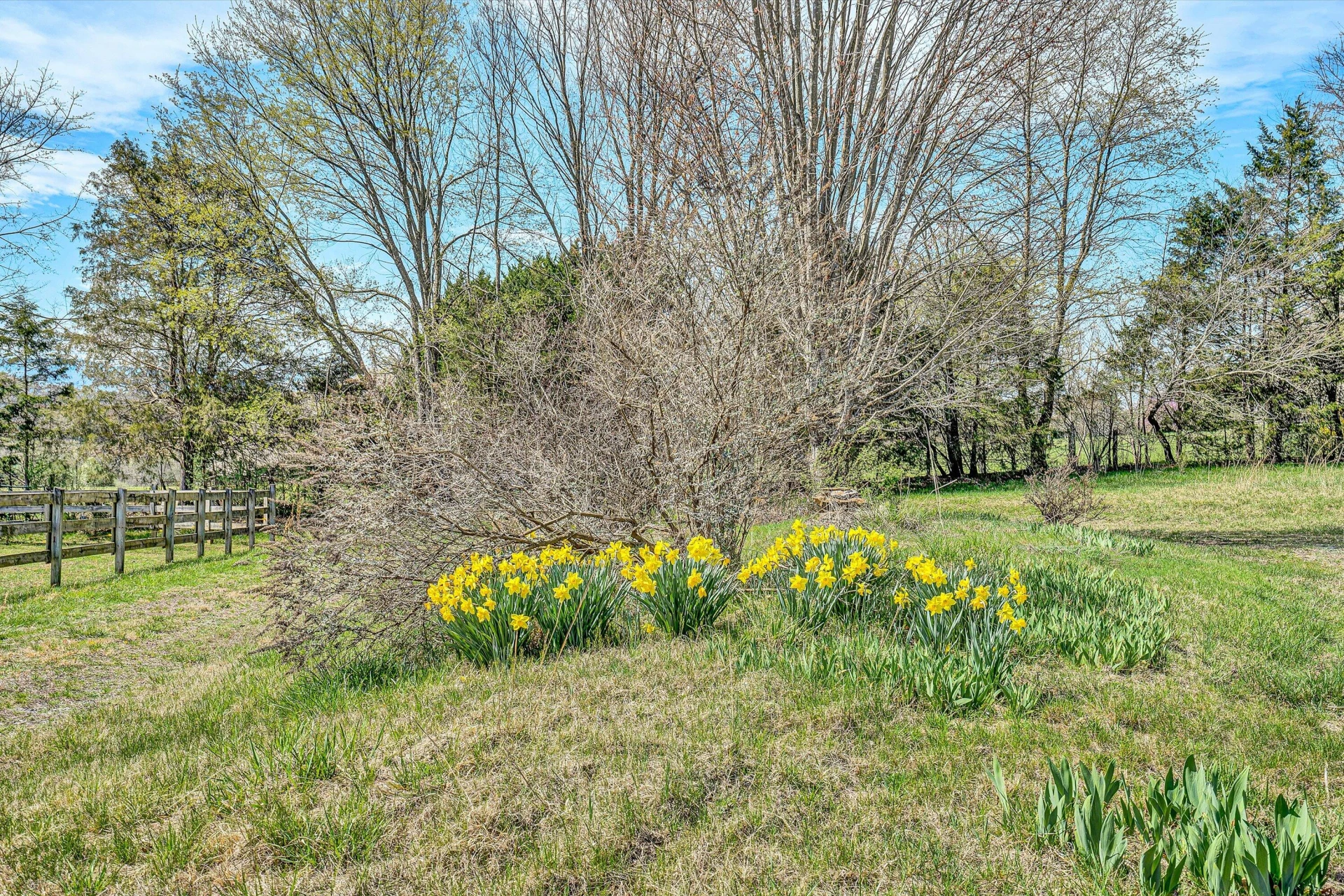 225 Dalewood DR - Photo 62