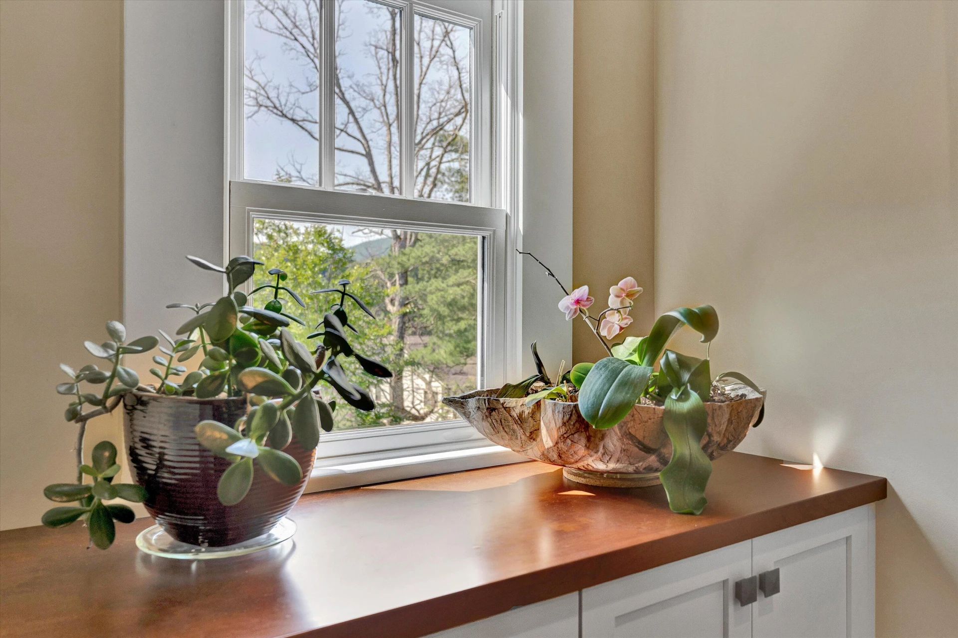 6030 Stickley LN - Photo 23