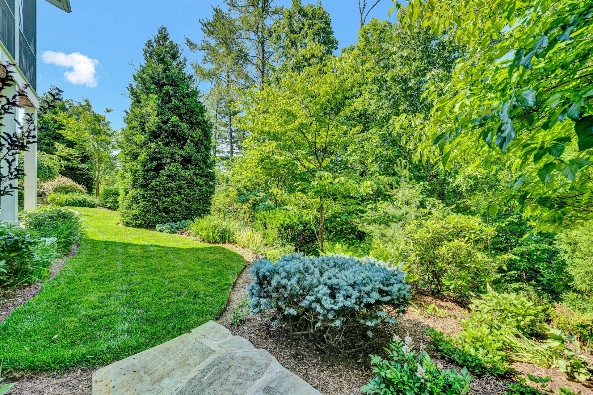 6030 Stickley LN - Photo 62