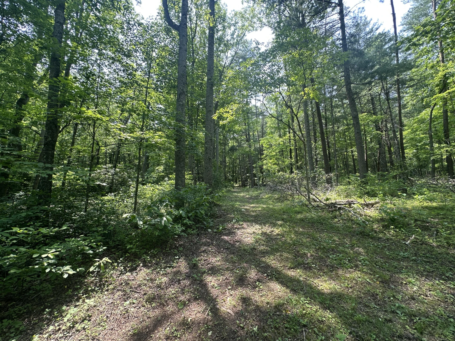 6108 Craig Creek RD - Photo 22