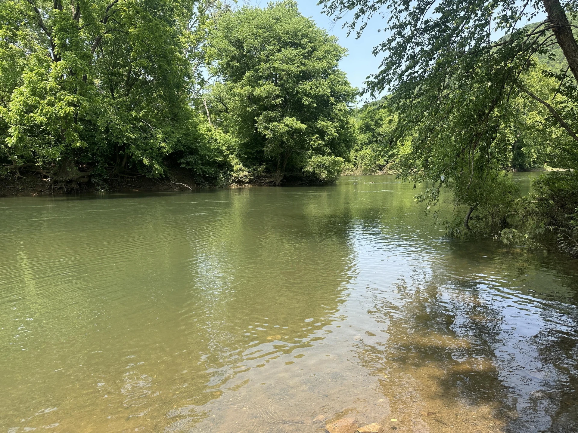 6108 Craig Creek RD - Photo 32