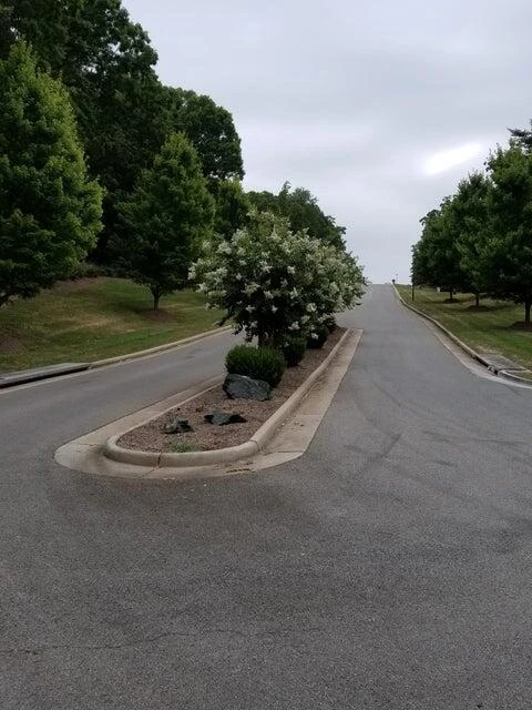 Lot 61 Penny LN - Photo 10
