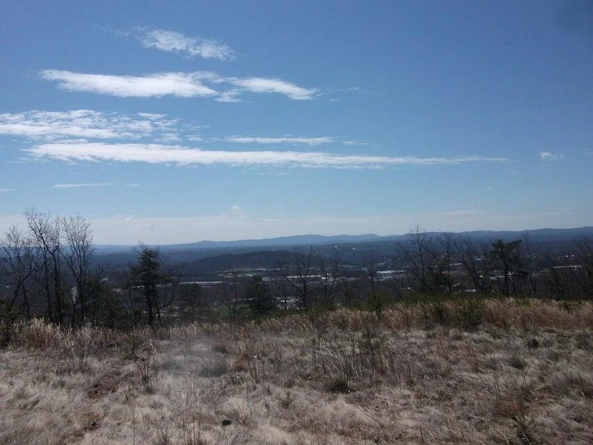Lot 61 Penny LN - Photo 12