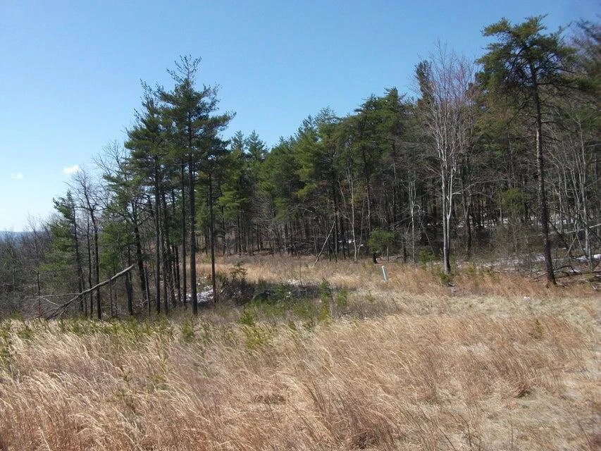 Lot 61 Penny LN - Photo 17