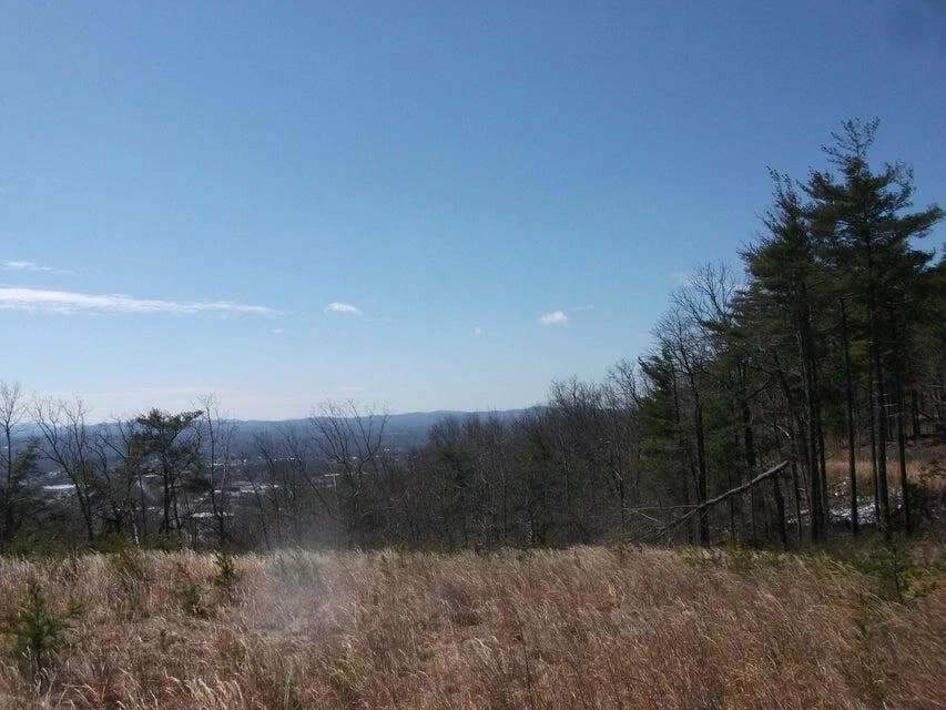 Lot 61 Penny LN - Photo 18