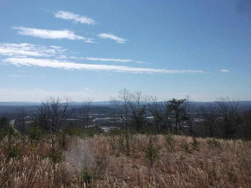 Lot 61 Penny LN - Photo 19