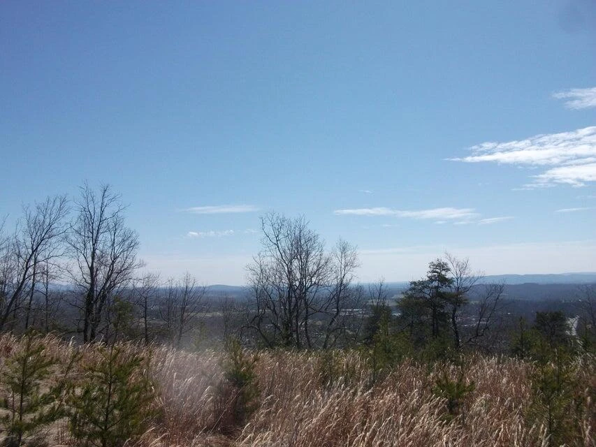 Lot 61 Penny LN - Photo 20
