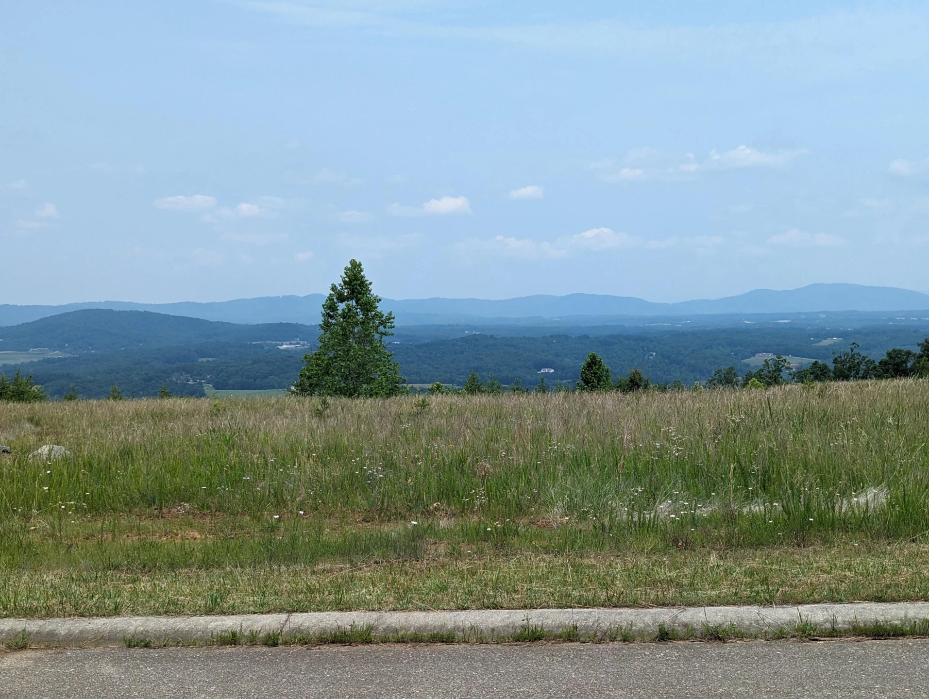 Lot 61 Penny LN - Photo 3
