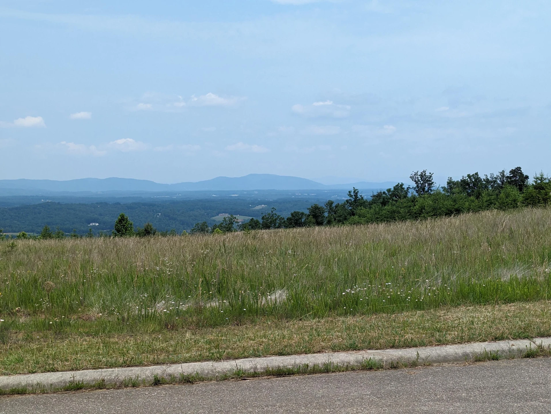 Lot 61 Penny LN - Photo 4