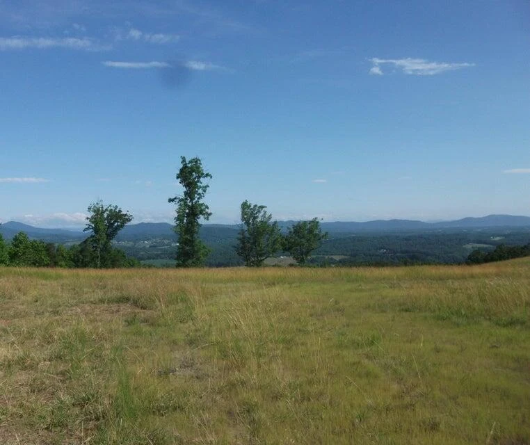Lot 61 Penny LN - Photo 8