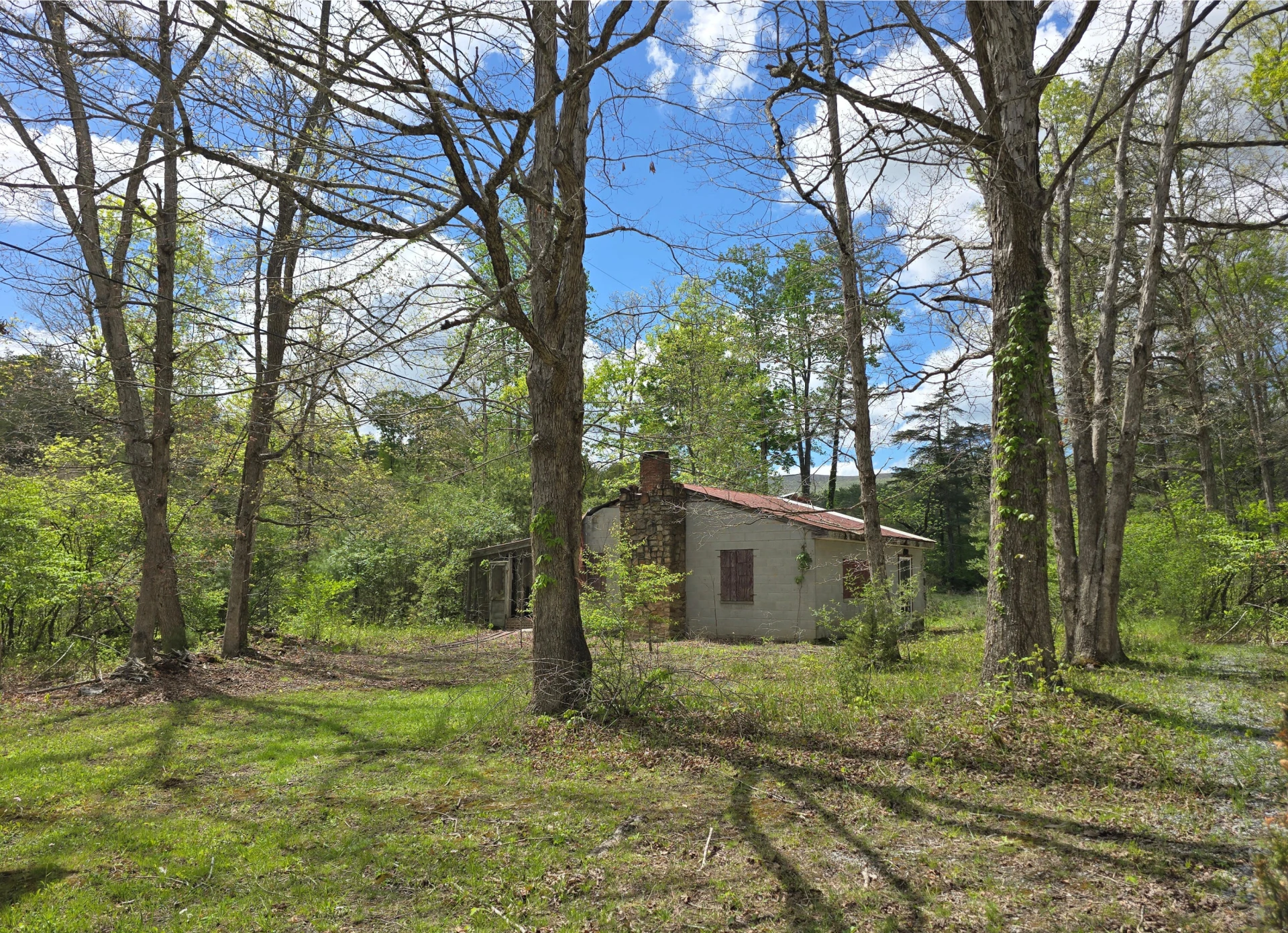 115 Wrights Branch RD - Photo 11