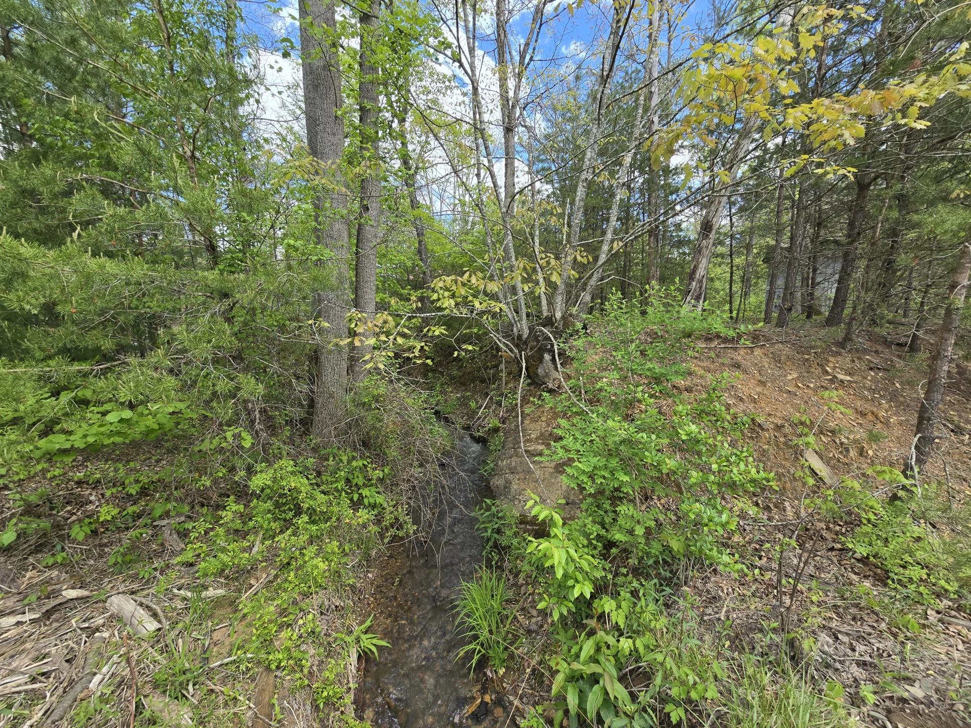 115 Wrights Branch RD - Photo 4