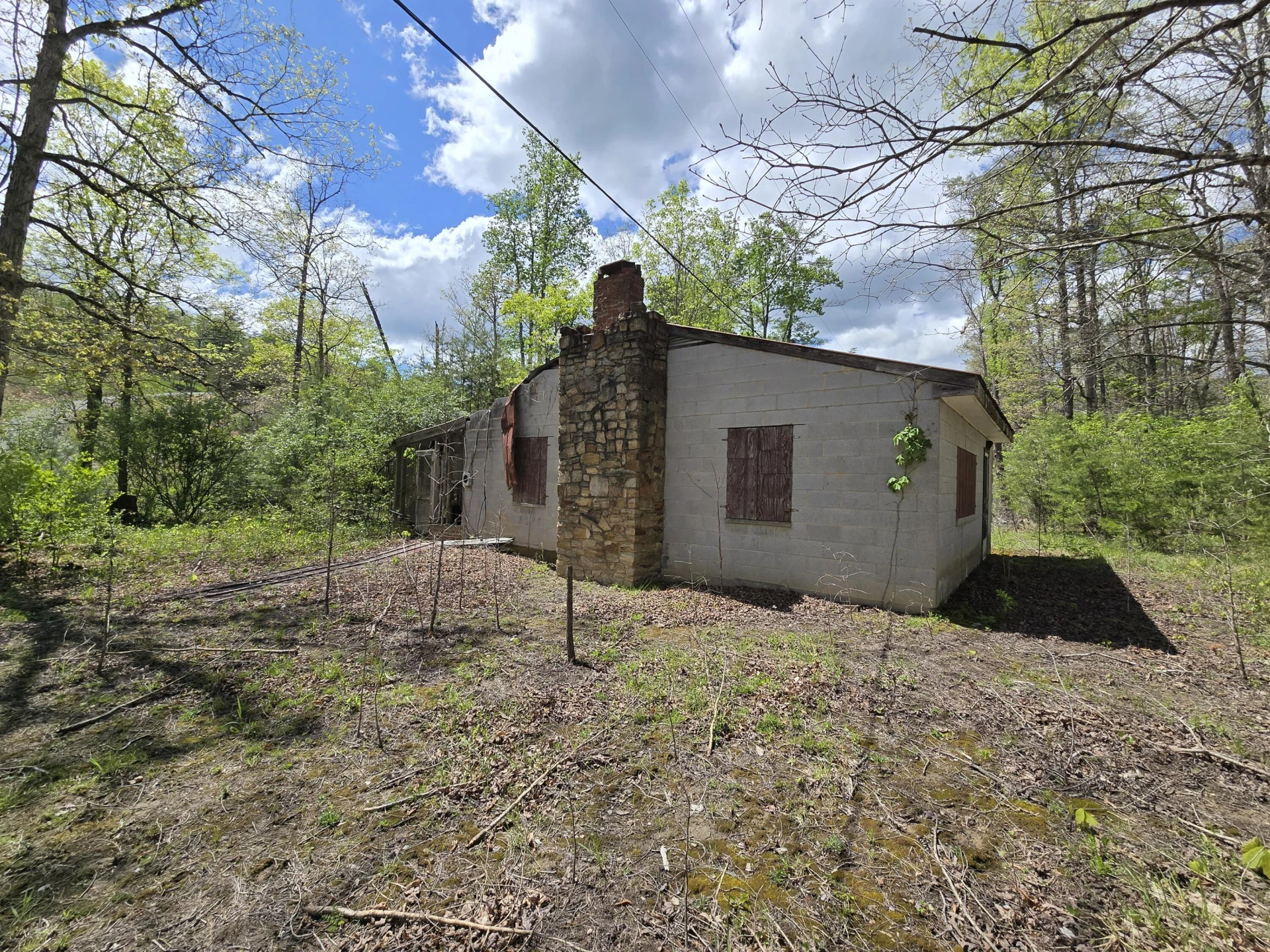 115 Wrights Branch RD - Photo 9