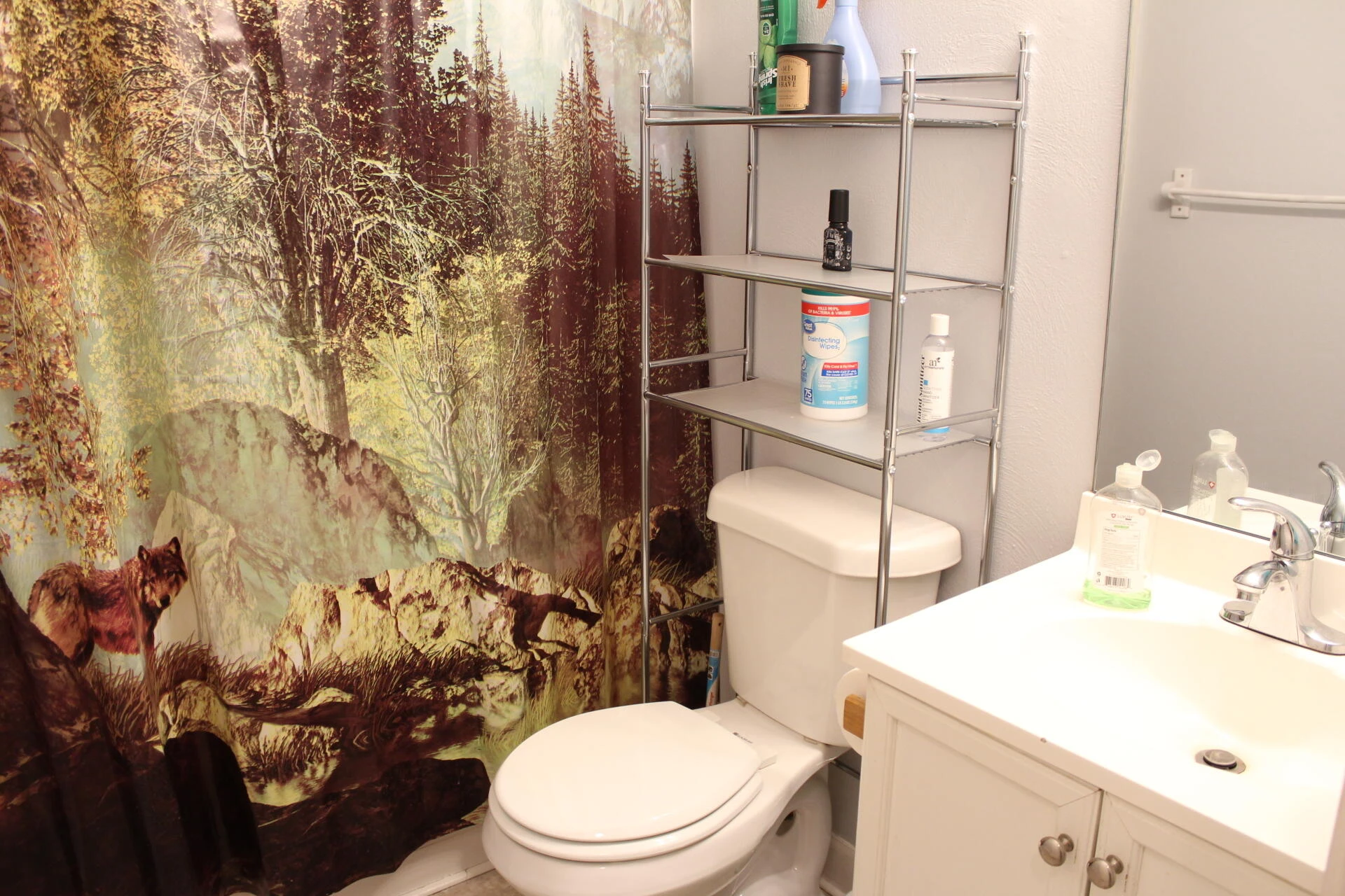 8728 Bradshaw RD - Photo 31