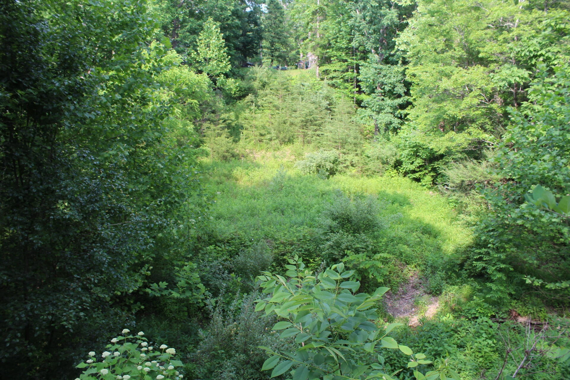 8728 Bradshaw RD - Photo 43