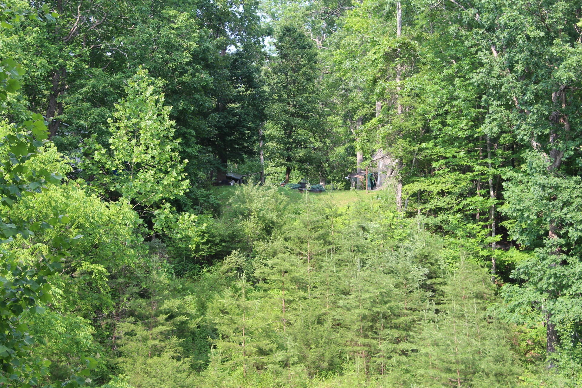 8728 Bradshaw RD - Photo 44