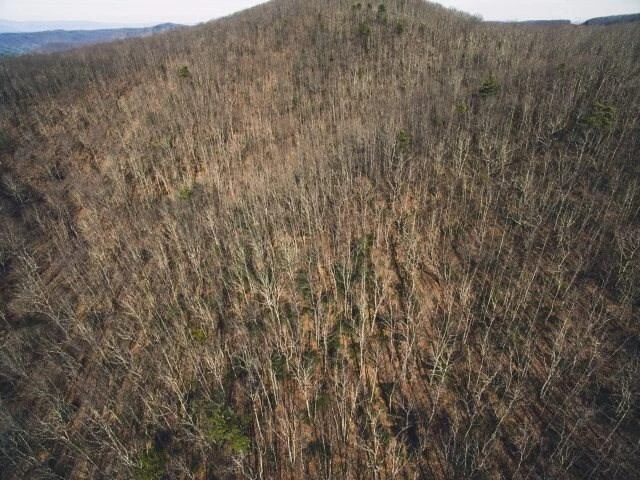 0 Macks Mountain RD - Photo 2