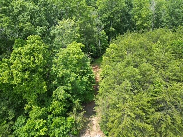 00 CREASEY CHAPEL RD - Photo 10
