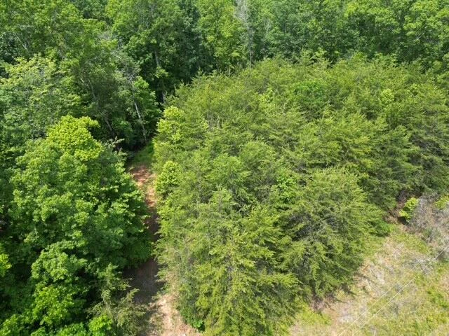 00 CREASEY CHAPEL RD - Photo 11