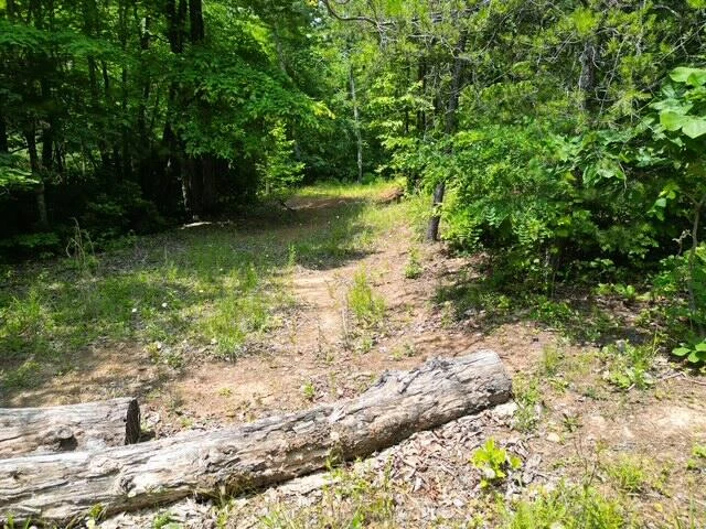 00 CREASEY CHAPEL RD - Photo 17