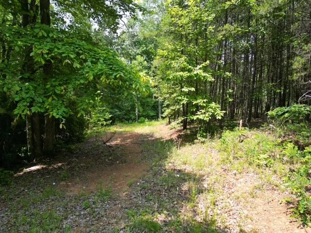 00 CREASEY CHAPEL RD - Photo 18