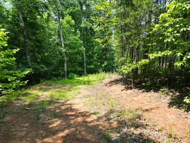 00 CREASEY CHAPEL RD - Photo 19