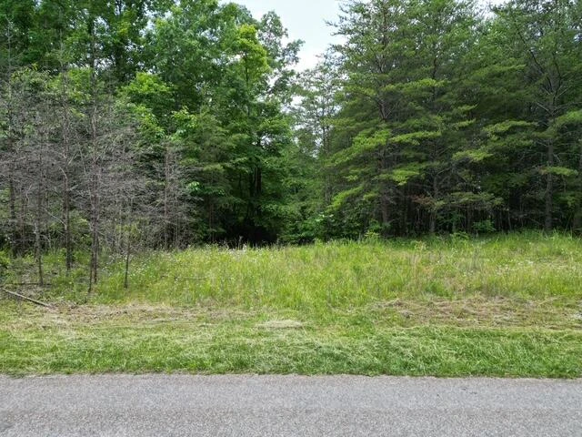 00 CREASEY CHAPEL RD - Photo 2