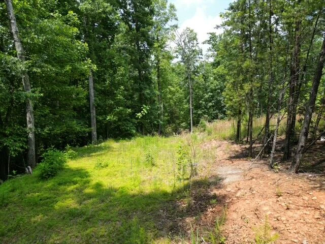 00 CREASEY CHAPEL RD - Photo 20