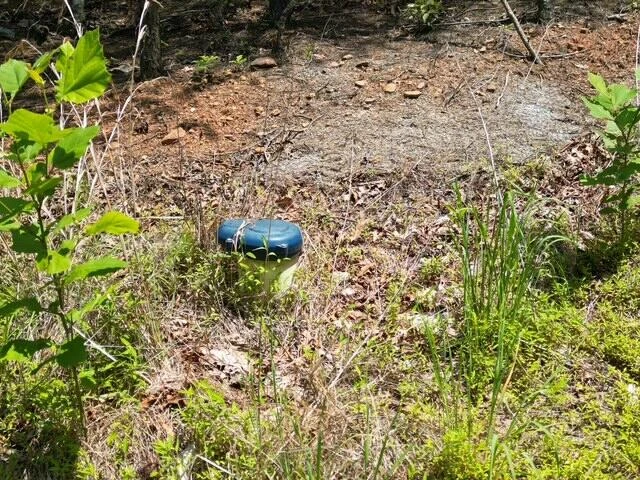 00 CREASEY CHAPEL RD - Photo 22