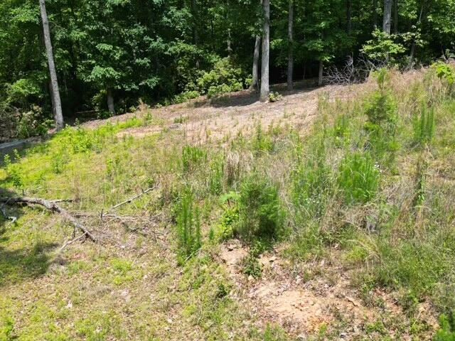 00 CREASEY CHAPEL RD - Photo 24