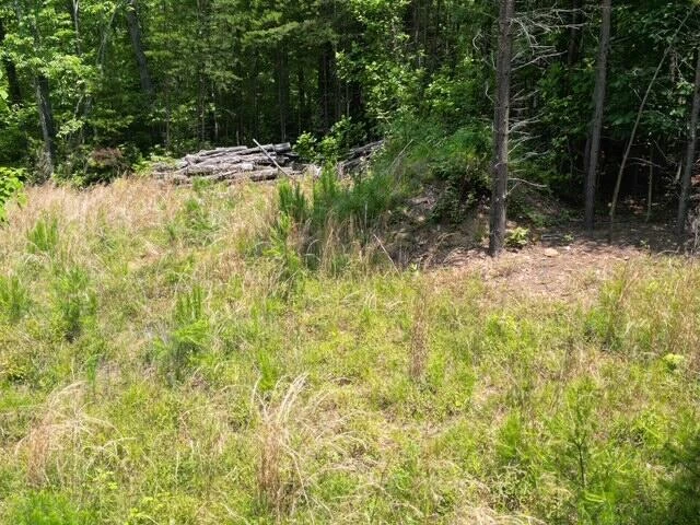 00 CREASEY CHAPEL RD - Photo 25