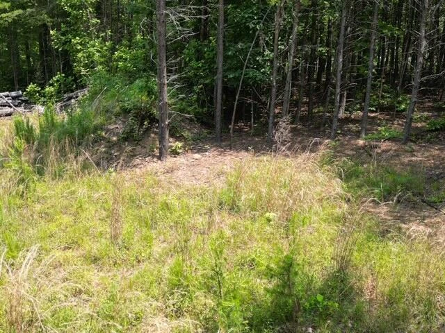 00 CREASEY CHAPEL RD - Photo 26