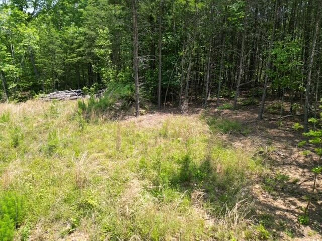 00 CREASEY CHAPEL RD - Photo 27