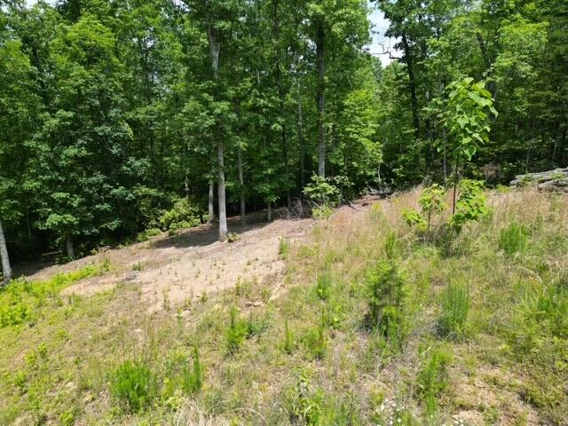 00 CREASEY CHAPEL RD - Photo 29