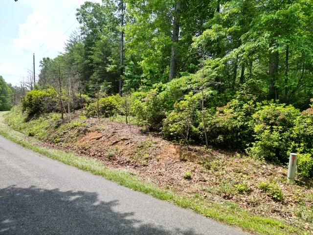 00 CREASEY CHAPEL RD - Photo 3
