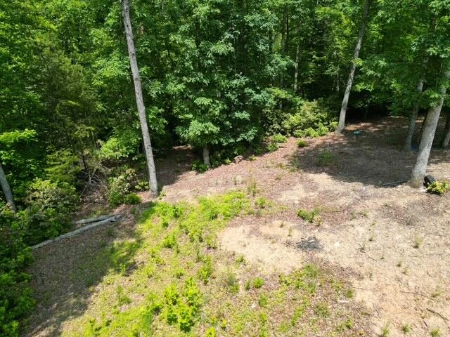 00 CREASEY CHAPEL RD - Photo 31