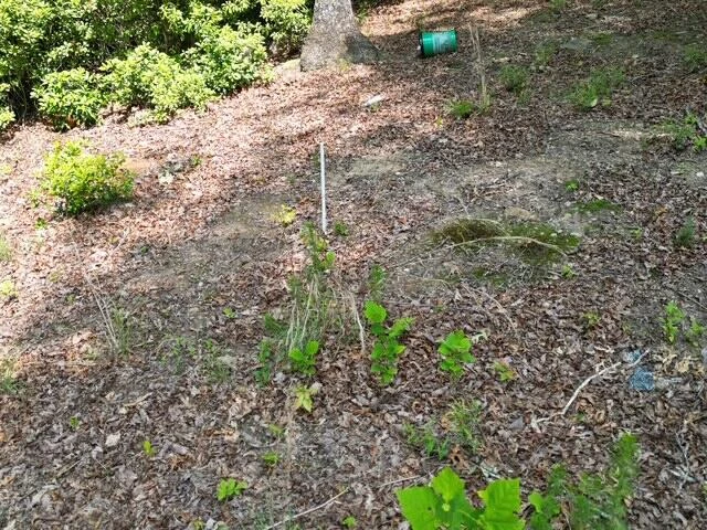00 CREASEY CHAPEL RD - Photo 32