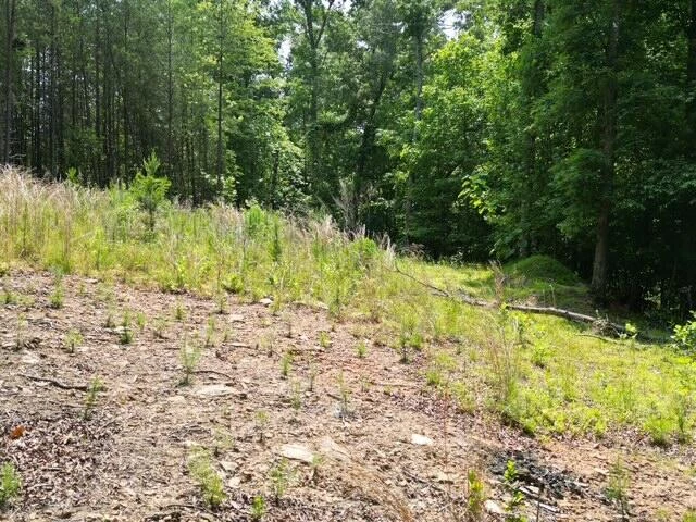 00 CREASEY CHAPEL RD - Photo 34
