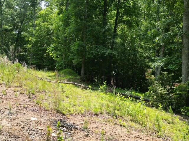 00 CREASEY CHAPEL RD - Photo 35