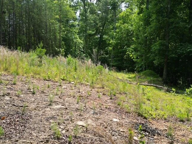 00 CREASEY CHAPEL RD - Photo 36