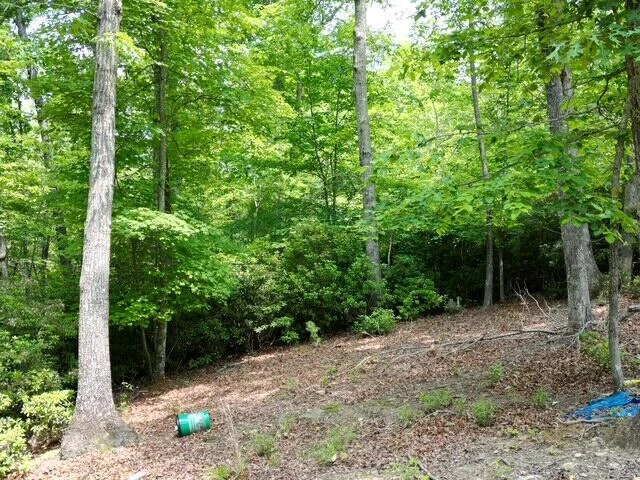 00 CREASEY CHAPEL RD - Photo 37