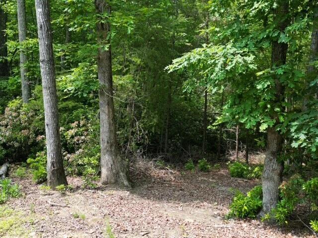 00 CREASEY CHAPEL RD - Photo 38