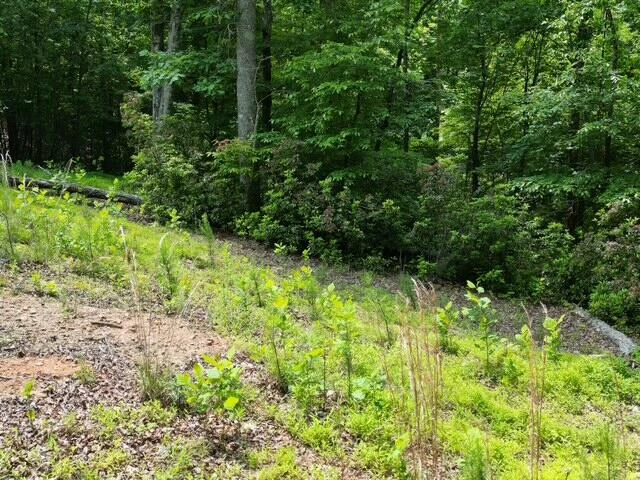 00 CREASEY CHAPEL RD - Photo 39