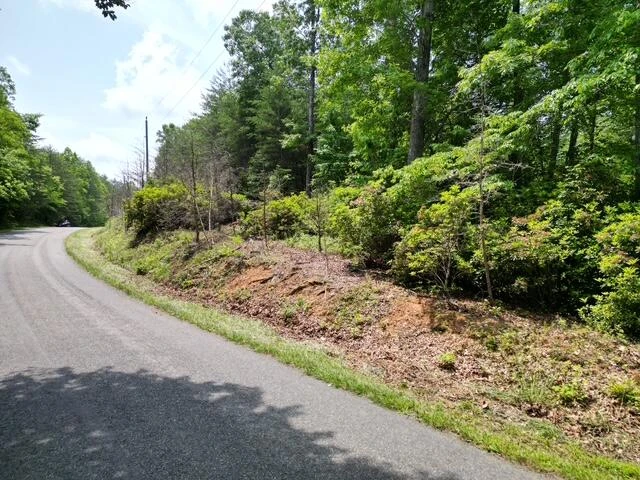 00 CREASEY CHAPEL RD - Photo 4