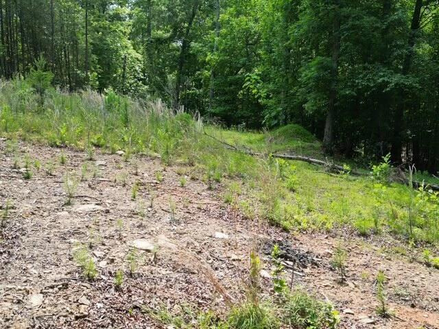 00 CREASEY CHAPEL RD - Photo 40